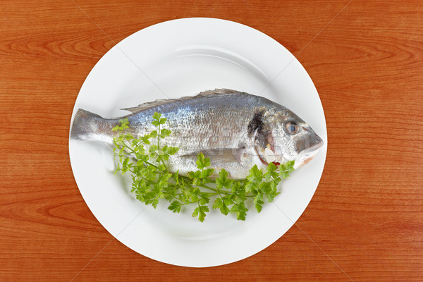 Frischen Fisch Petersilie weiß Platte Holz Stock foto © broker