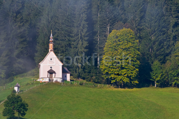 Church in Gosau, Austria Stock photo © broker