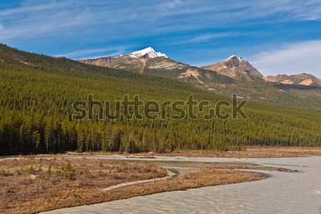 Athabasca River Stock photo © broker
