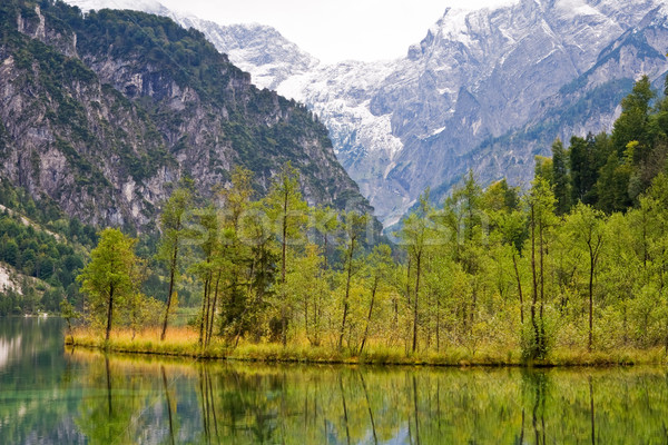 Almsee Lake, Almtal valley, Austria Stock photo © broker