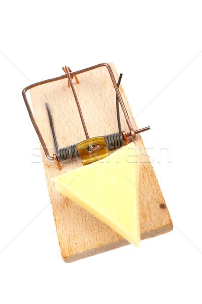 Mousetrap with cheese Stock photo © broker