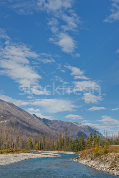 Vermillion River, Canada Stock photo © broker