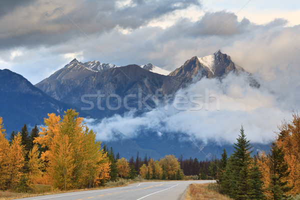 Lonely road crossing the Canadian  Stock photo © broker