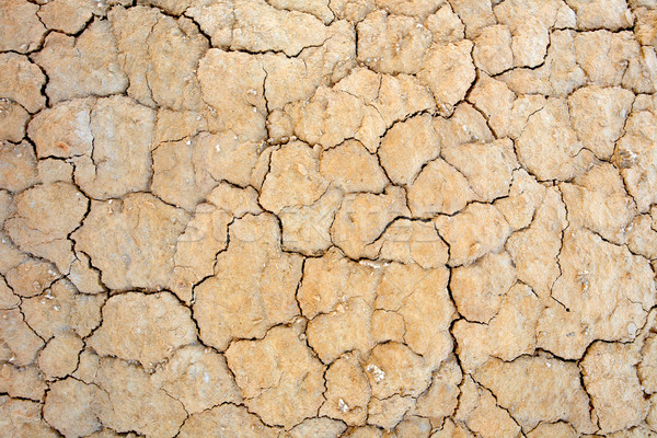 Parched earth Stock photo © broker