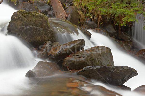 Autumn brook Stock photo © broker