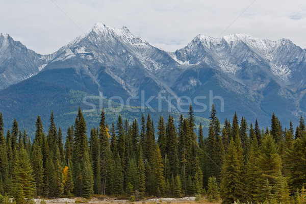 Snowcapped Canadian Rockies Stock photo © broker