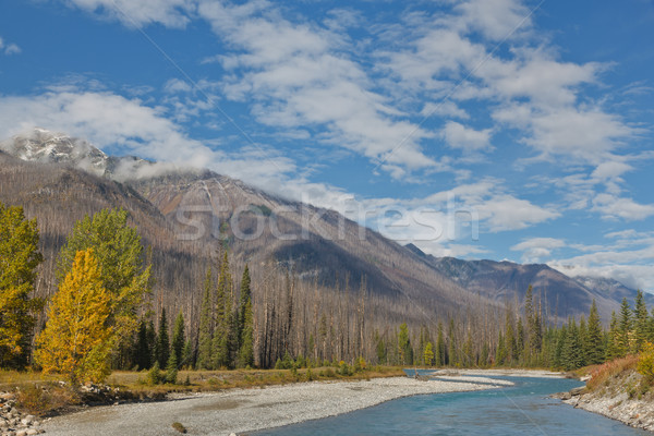 Vermillion River, Canada Stock photo © broker