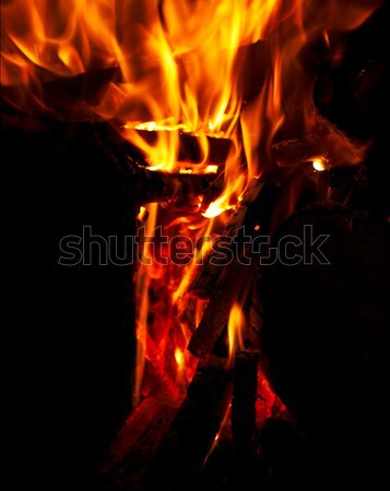 Fire and flames Stock photo © broker