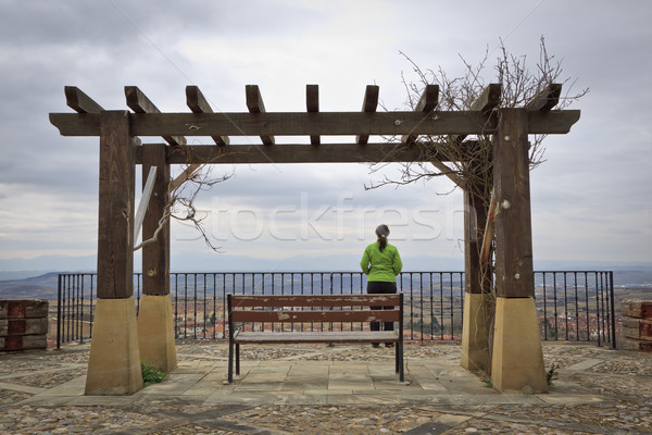 Eenzaam vrouw naar landschap Stockfoto © broker