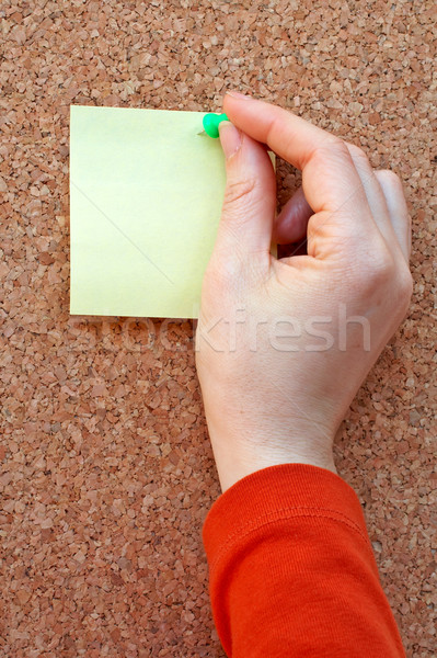 placing note in the cork board Stock photo © broker