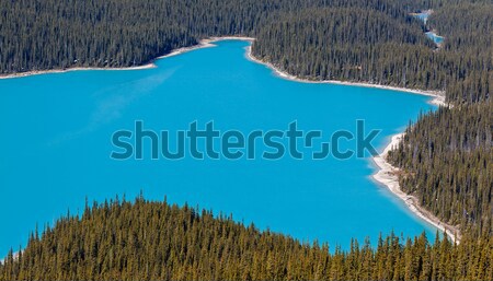 Peyto Lake, Banff National Park, Canada Stock photo © broker