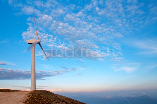 Windmills Stock photo © broker