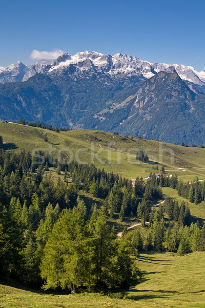 Gosau, Austria Stock photo © broker