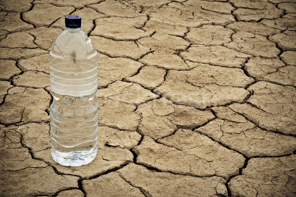 Water bottle on dry ground Stock photo © broker