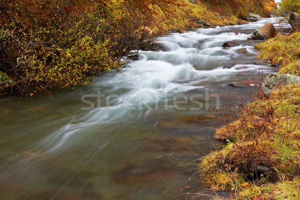 Autumn brook Stock photo © broker