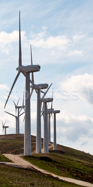 Wind turbines farm Stock photo © broker