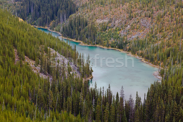 Vista Lake, Canada Stock photo © broker