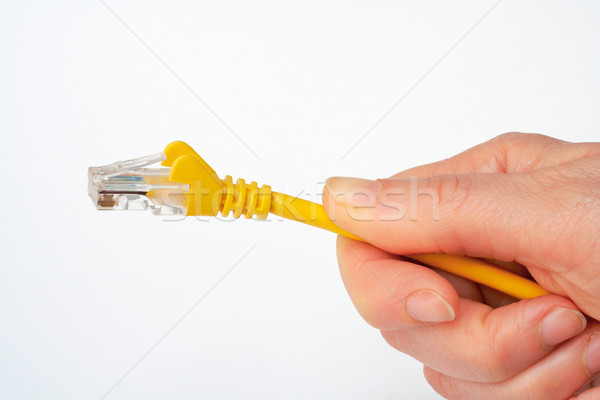 Stock photo: Hand holding network cable