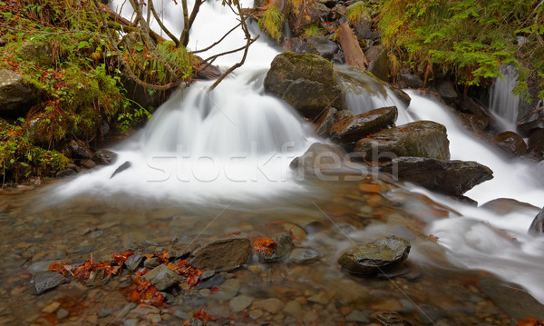 Stock photo: Autumn brook