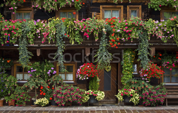 Typical floral adornments in Austria Stock photo © broker