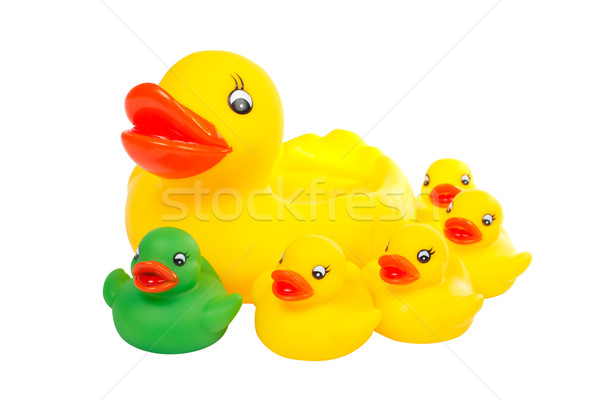 Goma amarillo grupo juguete solo pato Foto stock © broker