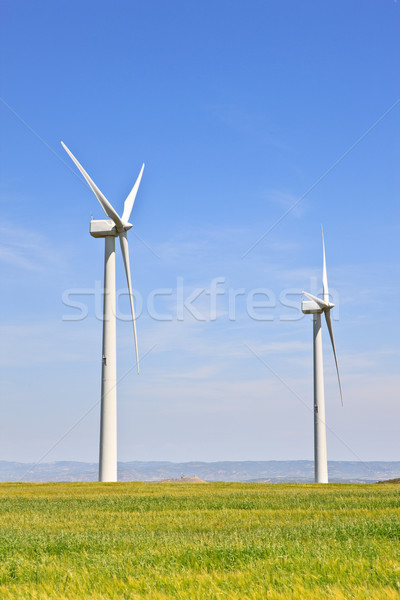 Szél energia szélturbinák zöld mező felhős Stock fotó © broker