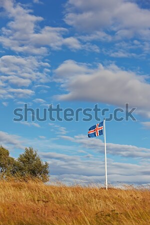 Beautiful clouds over the icelandic flag, Iceland Stock photo © broker