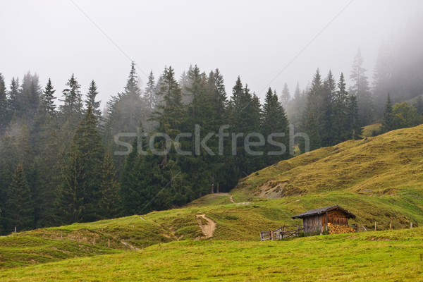 Landscape under the fog in Austria Stock photo © broker