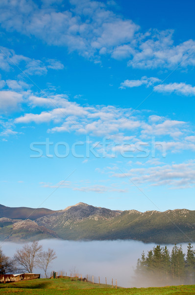 Сток-фото: пейзаж · тумана · сельский · горные · небе