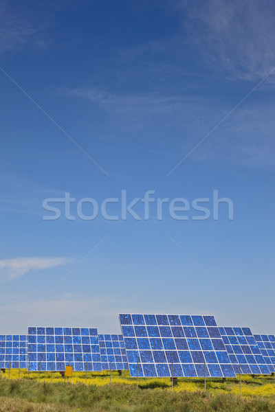 Güneş enerjisi bitki güneş panelleri elektrik santralı yenilenebilir enerji endüstriyel Stok fotoğraf © broker