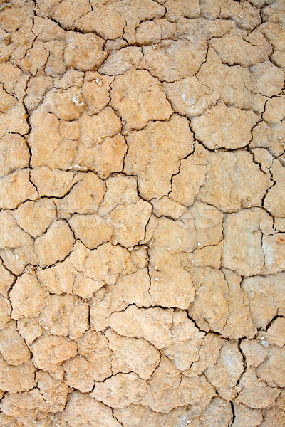 Parched earth Stock photo © broker