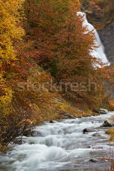 Autumn brook Stock photo © broker