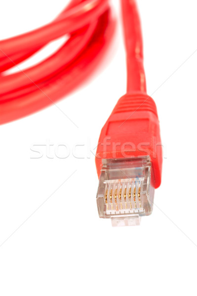 Red network cable Stock photo © broker