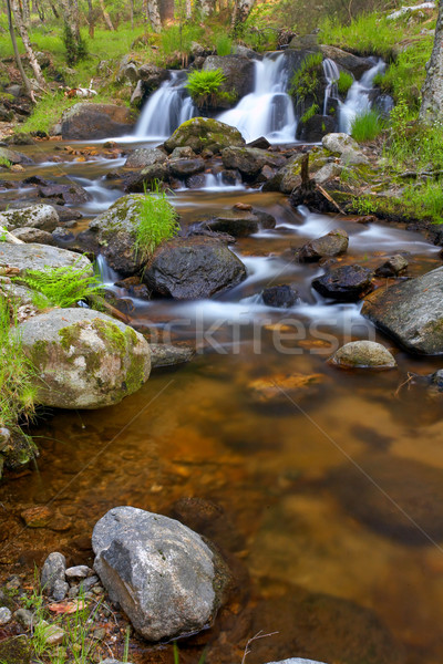 Wild rivier berg watervallen voorjaar seizoen Stockfoto © broker