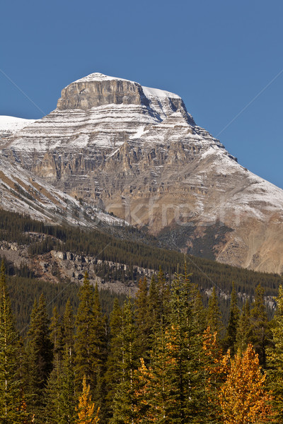 Snowcapped Canadian Rockies Stock photo © broker