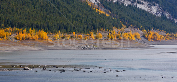 Medicine Lake Stock photo © broker