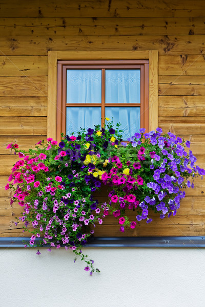 Typique floral Autriche belle région montagnes [[stock_photo]] © broker