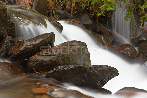 Autumn brook Stock photo © broker