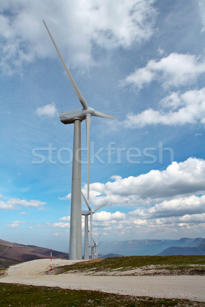 Wind turbines farm Stock photo © broker