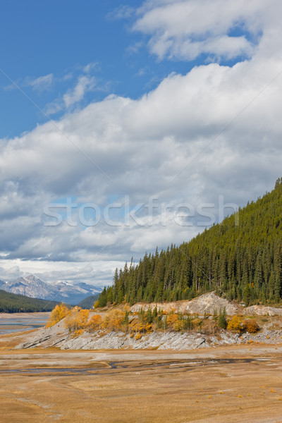 Medicine Lake Stock photo © broker