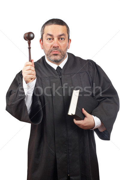Judge holding the gavel and book Stock photo © broker