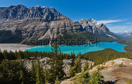 Stok fotoğraf: Göl · park · Kanada · kar · ağaçlar · dağ