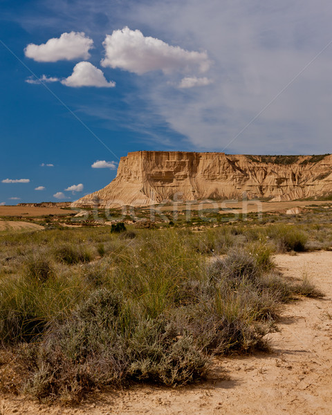 Desert landscape Stock photo © broker