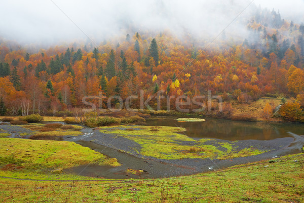 商業照片: 山 · 河 · 秋天 · 顏色 · 小 · 太陽