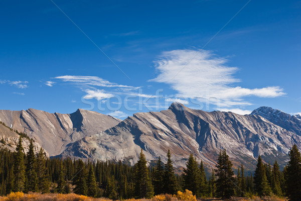 Stock photo: Canadian Rockies