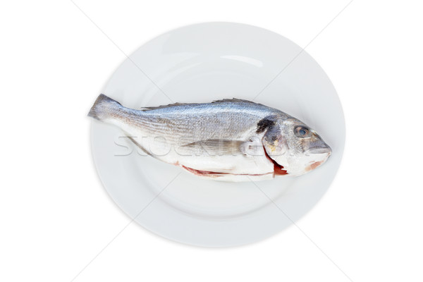 Fresh fish Stock photo © broker