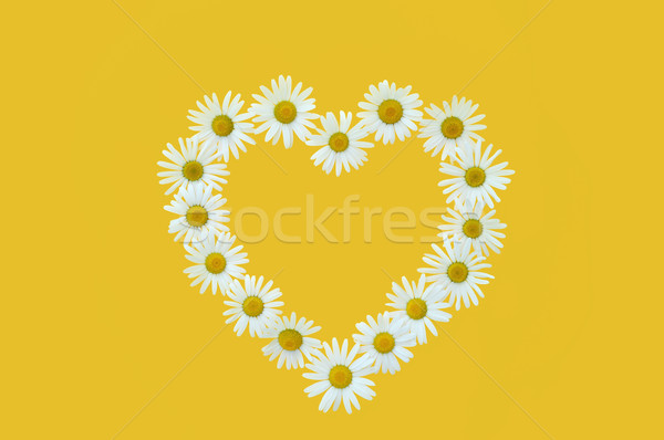 Foto stock: Daisy · amor · forma · amarillo · flor · naturaleza