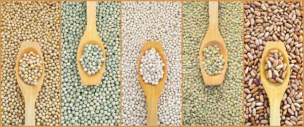 Collage of dried lentils, peas, soybeans, beans with wooden spoon Stock photo © brozova