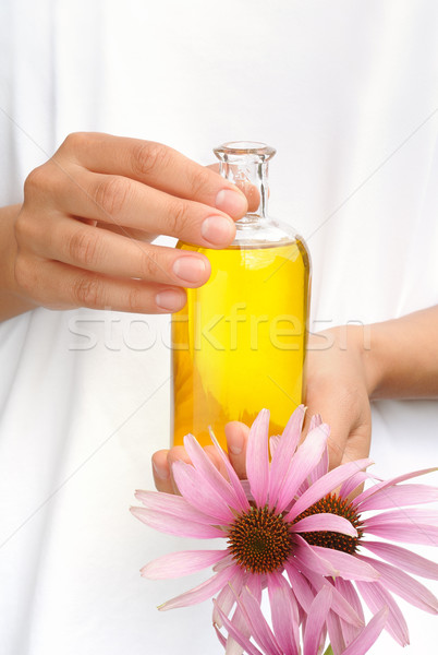 Hands of young woman holding essential oil and fresh coneflowers Stock photo © brozova