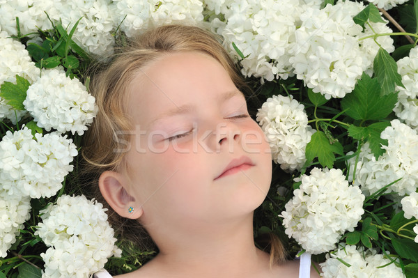 Bambina fiori palla di neve fiore ragazza Foto d'archivio © brozova